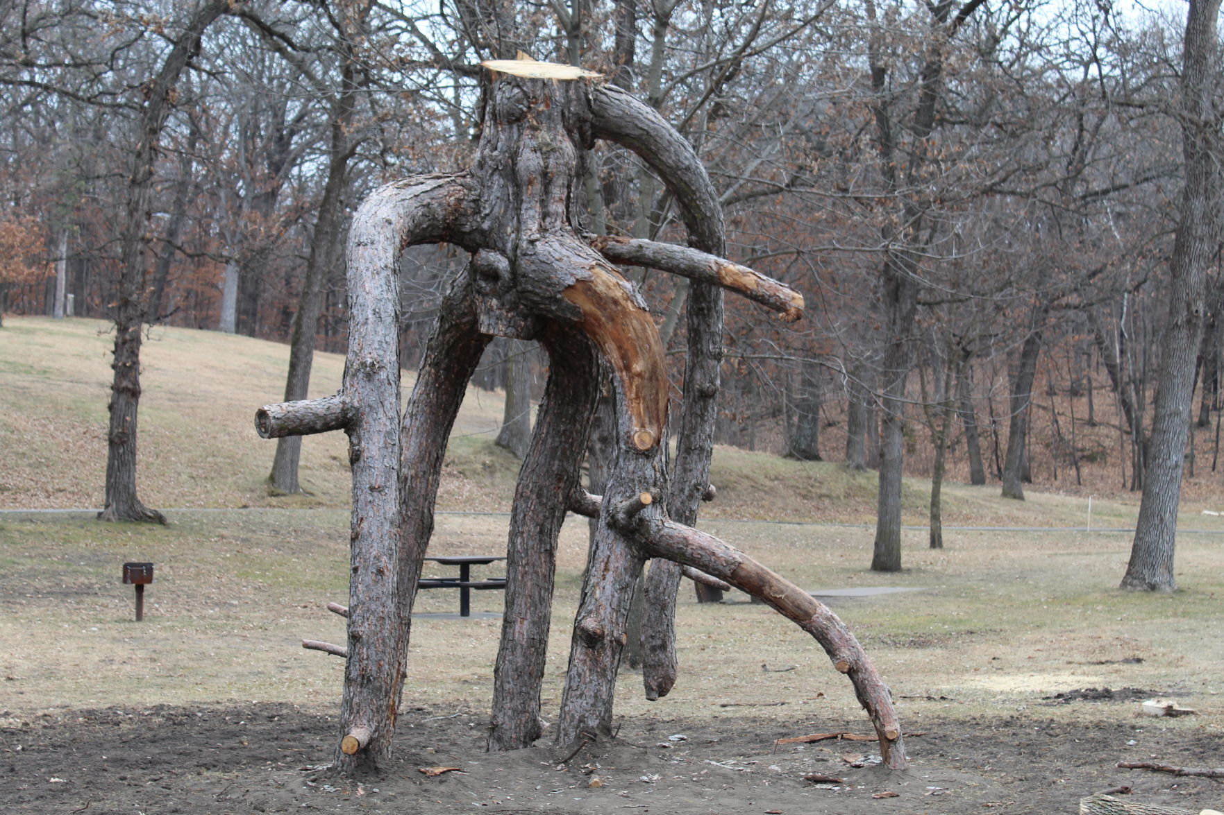 Nature play owatonna 1